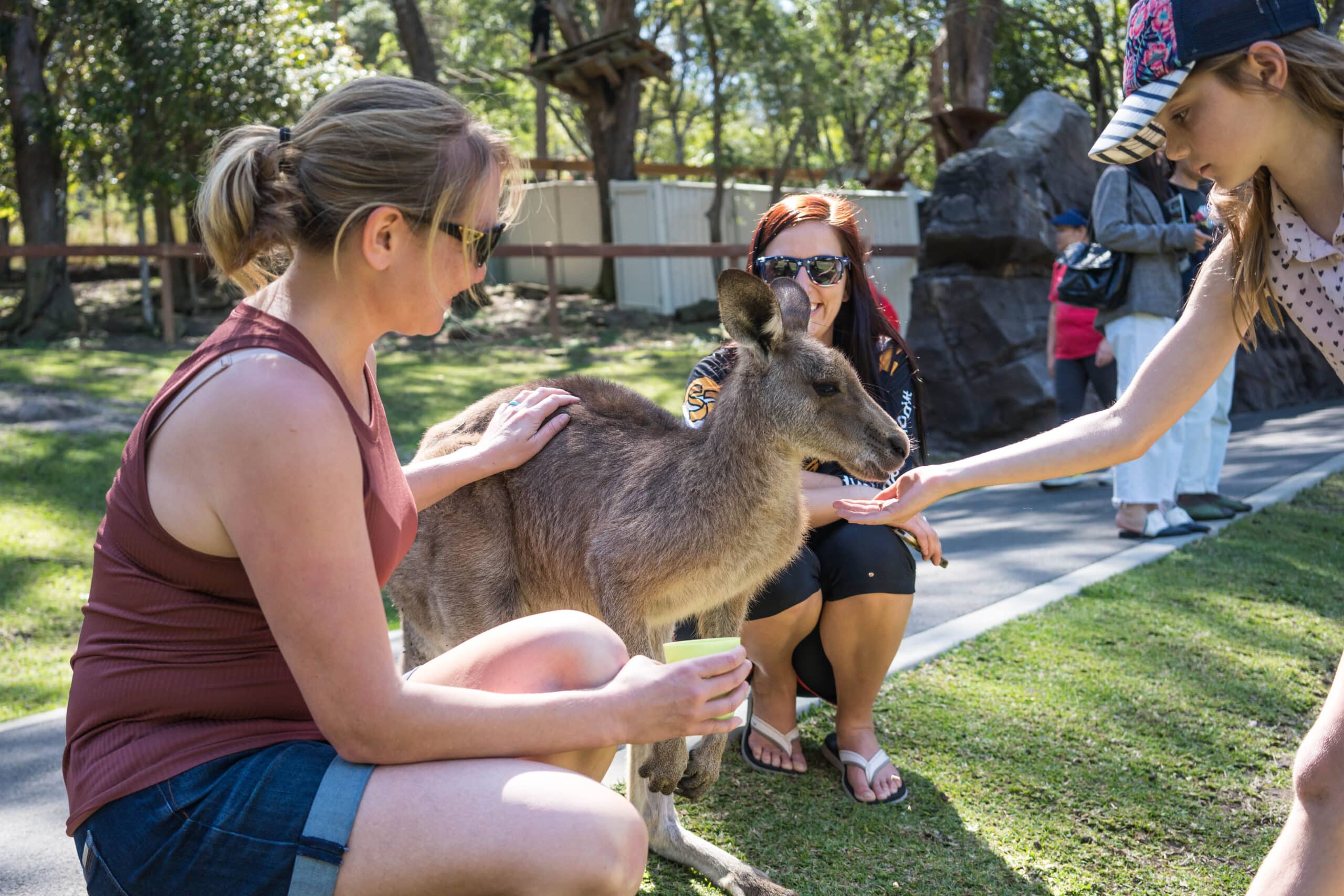 Australia Petting a Kangaroo